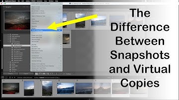 The Difference Between Snapshots and Virtual Copies: Lightroom Light
