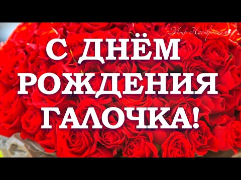С ДНЕМ РОЖДЕНИЯ ГАЛИНА 🎁 С Днем Рождения Галина поздравление принимай 🎁 Галочка С Днем Рождения