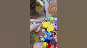 A Cute Grand Prize in the claw machine Part 16 #clawmachine #arcade #prize
