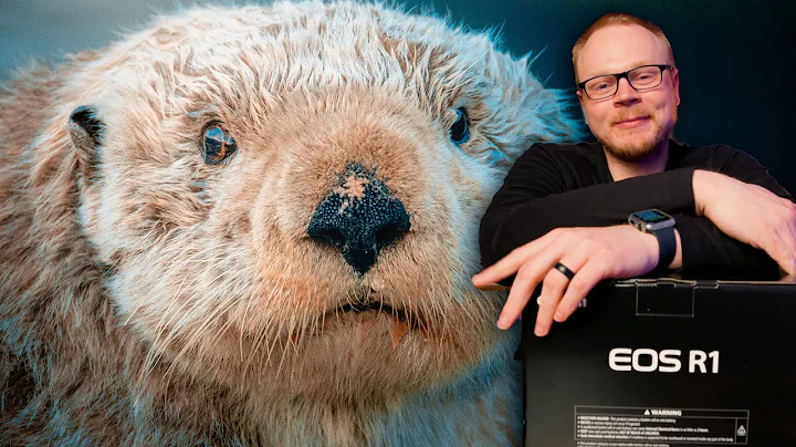 I Bought the Canon R1 as a Wildlife Photographer (is 24mp really enough?)