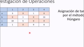 Metodo Hungaro