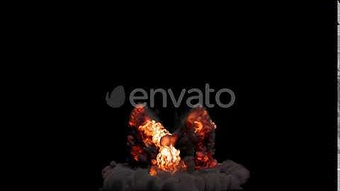 Bird Fire 4K | Motion Graphics - Envato elements