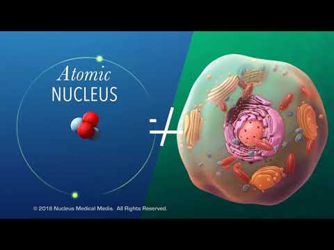 Video: Apakah yang menjadikan atom neutral secara elektrik?