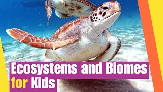 Ecosystems and Biomes for Kids | Earth Science Lesson | Lesson Boosters Science Vdieo