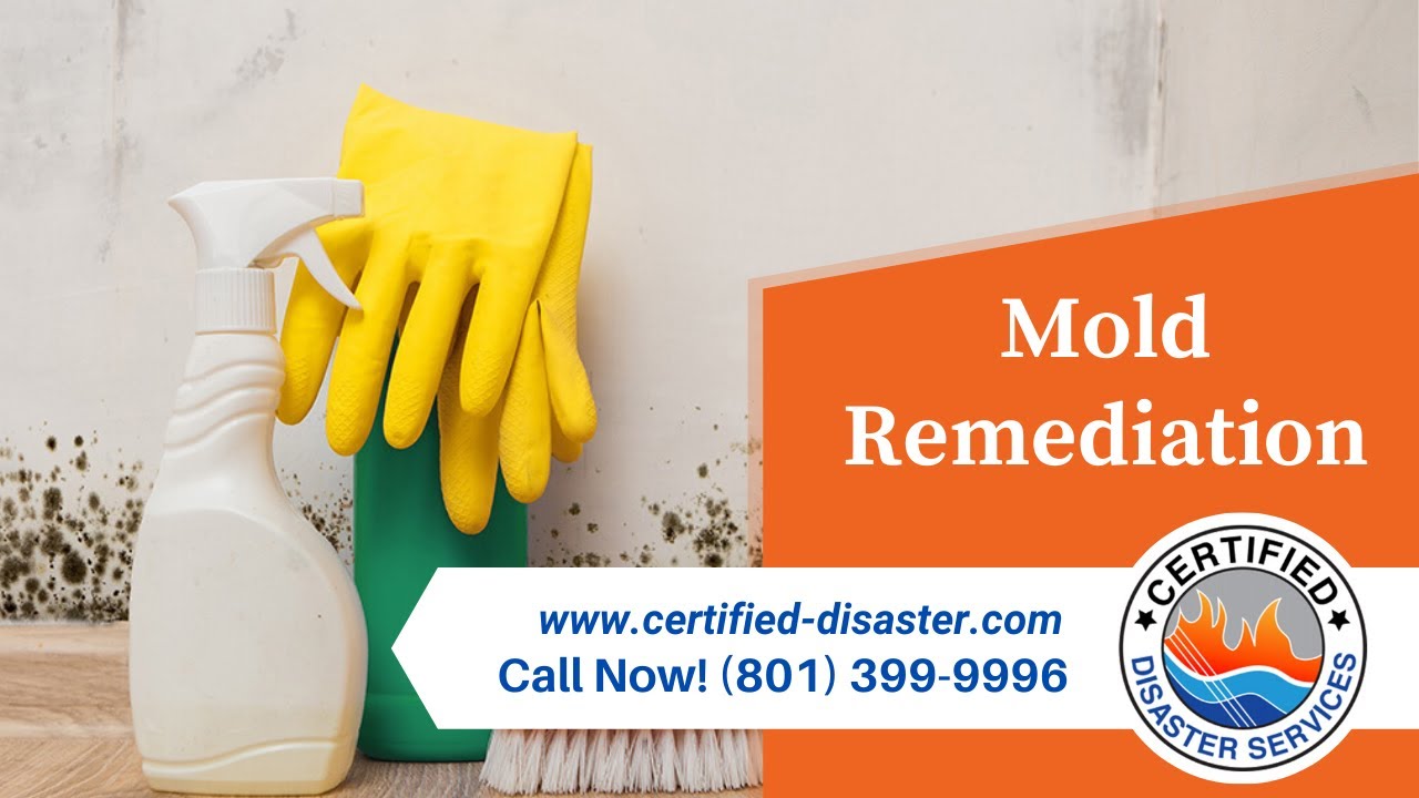 Mold Remediation Hooper UT Open To Serve You (801) 399 9996 | Certified ...