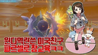 윈디로 역린을 써?! 파르셀로 참교육간다ㅋㅋ [포켓몬배틀]