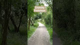 Crunchy footsteps 👣 #asmr #relaxing #fallasleep #sleepaid #walkingtv #naturewalking #nature #wildtv
