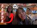 Vegas Vlog Day 3 | Meeting Another Twitch Streamer!!