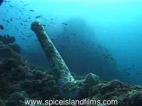 Sea Cucumber Sex 39
