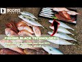 MUST Have FISHING Tools For Any Angler! | Booms Fishing RL2 Adhesive 24 inches Fishing Ruler Sticker