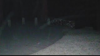 Spooky encounter at Gettysburg kicks of a 20 year love of the paranormal for one local couple