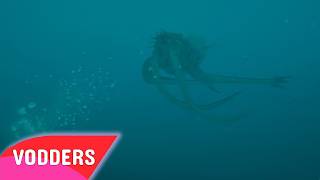 SUBNAUTICA 2 Day 2