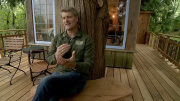 Behind the Build: The Coziest Treehouse