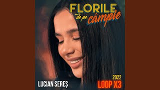 Florile de pe câmpie (2022 Loop X3)