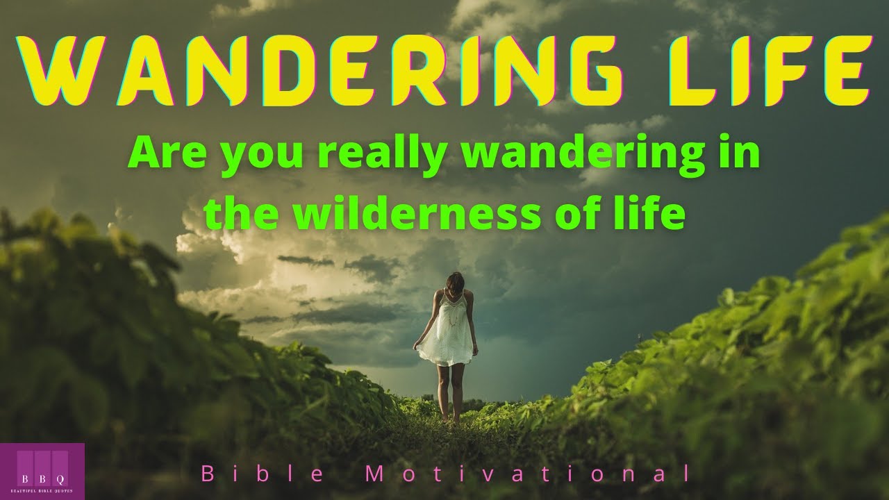 meaning of wandering life