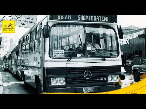 Vídeo: Empresas de transporte público que atendem a região de LA