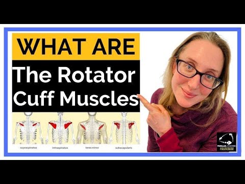 What are the rotator cuff muscles: Weekly parallel coaching news