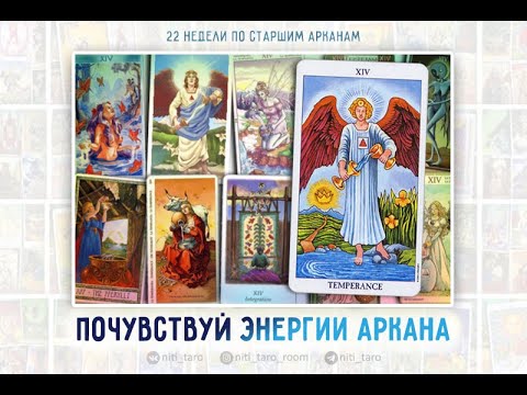 Video: Theophrastus кабелдик унаа