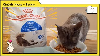 Royal Canin Cat Indoor (Adult) Unboxing by Korat by Chadol's House 1,259 views 3 years ago 3 minutes, 15 seconds