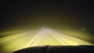 Diode Dynamics SS3 Pro Amber Fog Light Ford F150 Driving Review - Dense Fog @diodedynamics