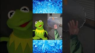 For My Male Audience TIKTOK With Kermit The Frog