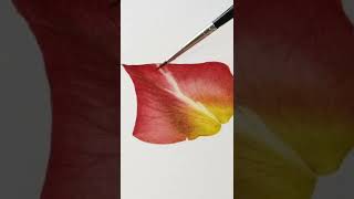 check my latest YouTube video of this delicate rose petal