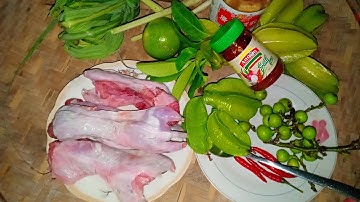 HƯỚNG DẪN CHẾ BIẾN MÓN CHUỘT ĐỒNG NẤU KHẾ CHUA- DÂN DÃ MIỀN QUÊ