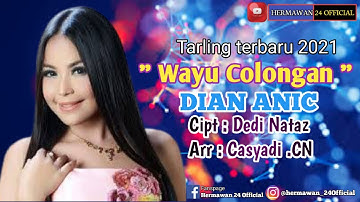 SINGLE TERBARU 2021 || WAYU COLONGAN || DIAN ANIC