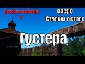 Русская рыбалка 4(рр4/rf4) - озеро Старый острог. Густера.