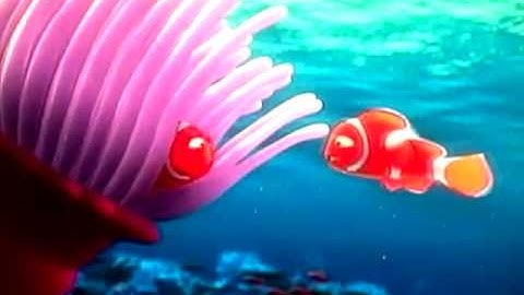 Pt 1-A Finding nemo.mp4
