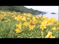 「冬の日本海」カラオケ・オリジナル歌手・田川寿美