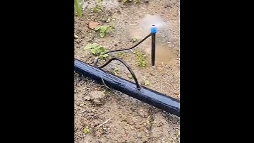 Bec phun mưa tưới cây tự động #nongnghiep