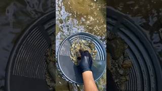 Gold Prospecting : Today we explore small wild streams alone without machines #gold