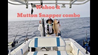 Wahoo and Mutton Snapper combo with Captain Wicho | Keys Reel Fishing