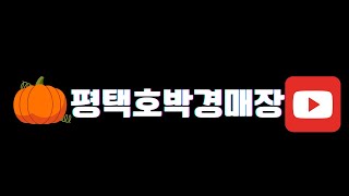 ⭐평택호박경매장⭐ 5월 11일 (실시간경매