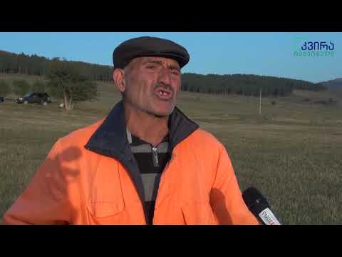 როგორ დატოვა ამამლოს მოსახლეობა ოქრიაშვილის ოჯახმა საძოვრების გარეშე