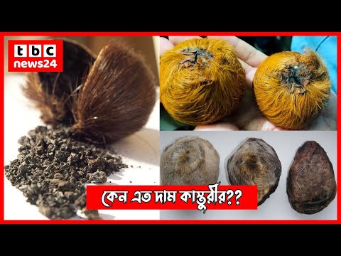 ভিডিও: হরিণ কি তৃণভোজী খাবে?