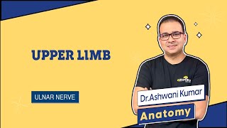 11. Ulnar nerve | Upper Limb Anatomy by Ashwini Kumar sir lectures