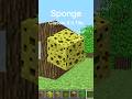 Minecraft Sponge Texture Evolution #shorts