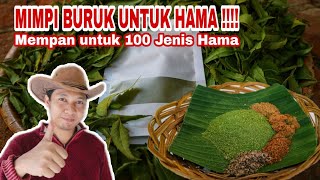 Racikan Maut untuk Hama!! Neem Powder Mix