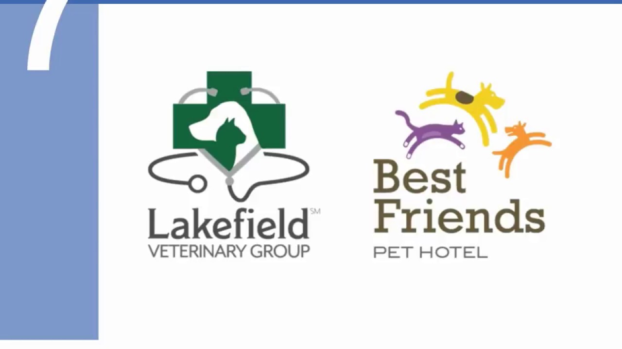 lakefield veterinary group