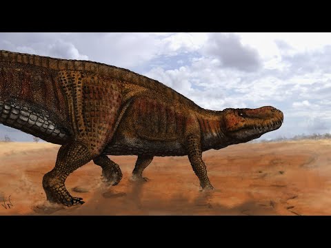 Prestosuchus: One Of The Largest Terrestrial Predators Before The Dinosaurs