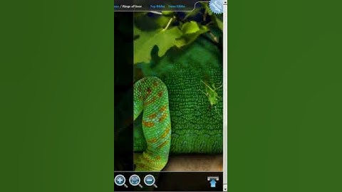 4images [Style] Scroll to Top Control v1.1 (jQuery)