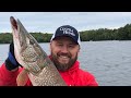 How to filet a northern pike, #karlsoffthegrid #howtofiletanorthern #howtofiletanorthernpike