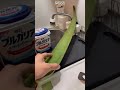 【料理男子】魅惑のヌメヌメがたまらないアロエさんを使って胃を回復するのだよっ #shorts