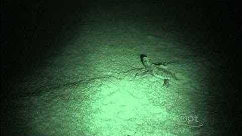 PBS LIGHT POLLUTION IN ASTRONOMY