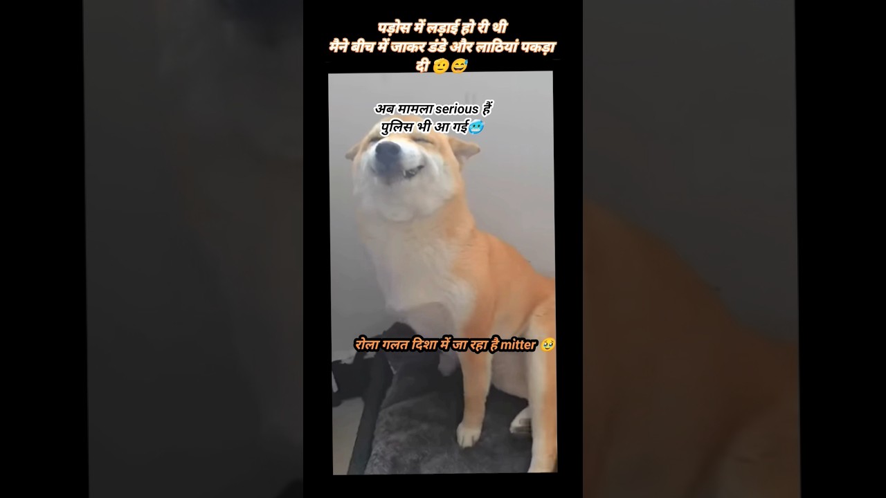 Dogesh भाई का रोला khatre में हैं 🫣