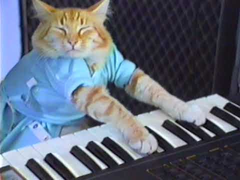 original-keyboard-cat-in-hi-rez!-(for-those-days)-beautiful!