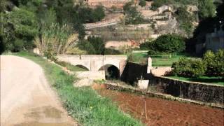 Broll de Buscastell a Sant Mateo de Aubarca Ibiza