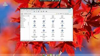 Apt-Fast Download Accelerator - Script - Ubuntu 9.10